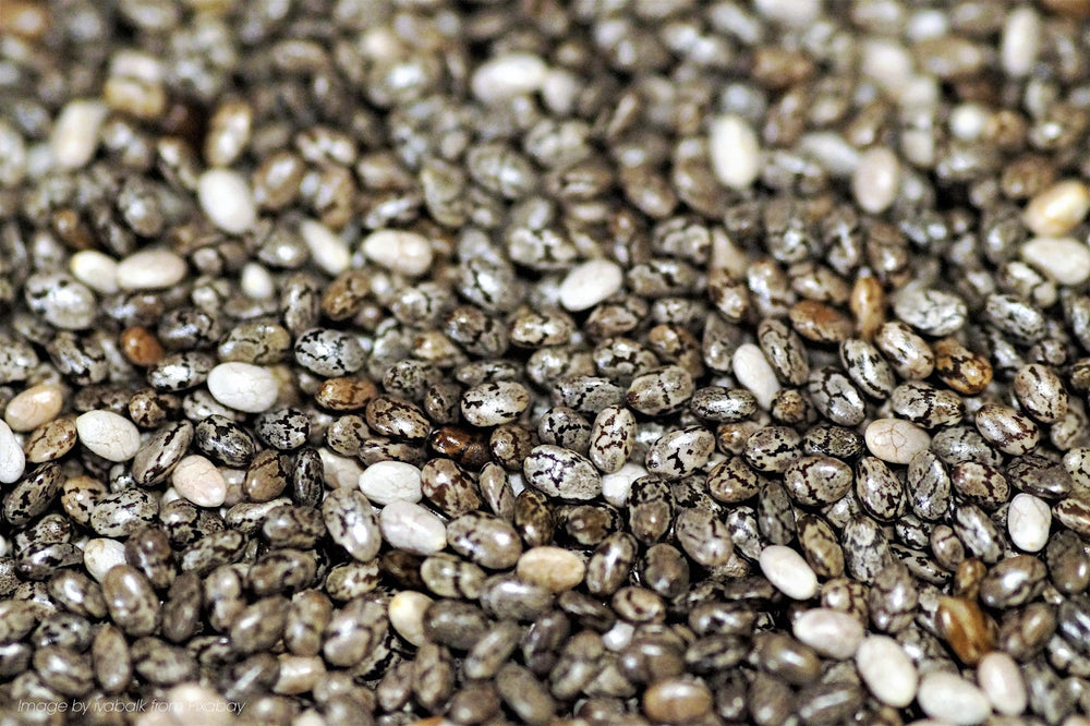 Chia Seeds: Health Benefits, Nutrition & Recipe Tips