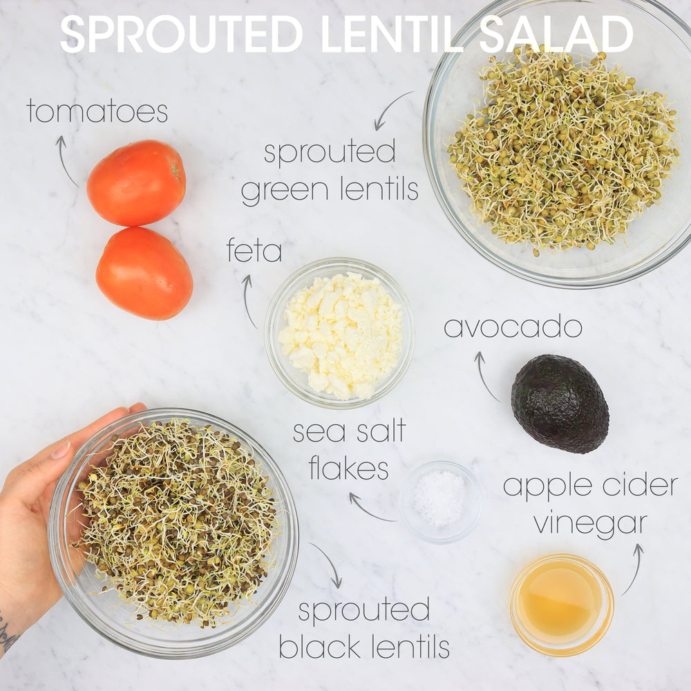 
            
                Load image into Gallery viewer, Sprouted Lentil Salad Ingredients | How To Cuisine
            
        